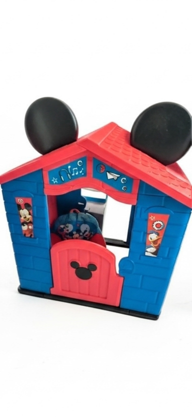 Mickey House $25